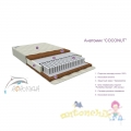 Матрац Афалина АНАТОМИК COCONUT 125х65  
