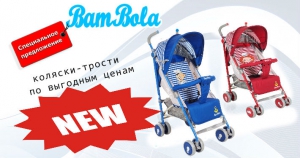 BamBola - красота, доступность и функциональность!