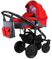 Детская коляска 2 в 1 RoxBaby KinderRich