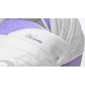 Детская коляска 2 в 1 Esperanza Victoria Prestige