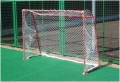Детские хоккейные ворота с сеткой Union-play SP-2320