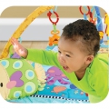 Игровой коврик FitchBaby Animal Play Gym 8507