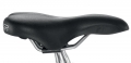 Детский велосипед Puky Skyride 20-6 Alu