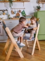 Стульчик для кормления AmaroBaby ECO CROWN растущий
