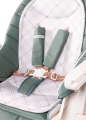 Стульчик для кормления Happy Baby Berny V2